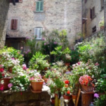 This isn't someone's back garden, just another little delight waiting to greet you on the streets of Anghiari.